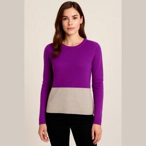 Clements Ribeiro Pop Cashmere Sweater Colour Block Gray Purple Size XS Soft